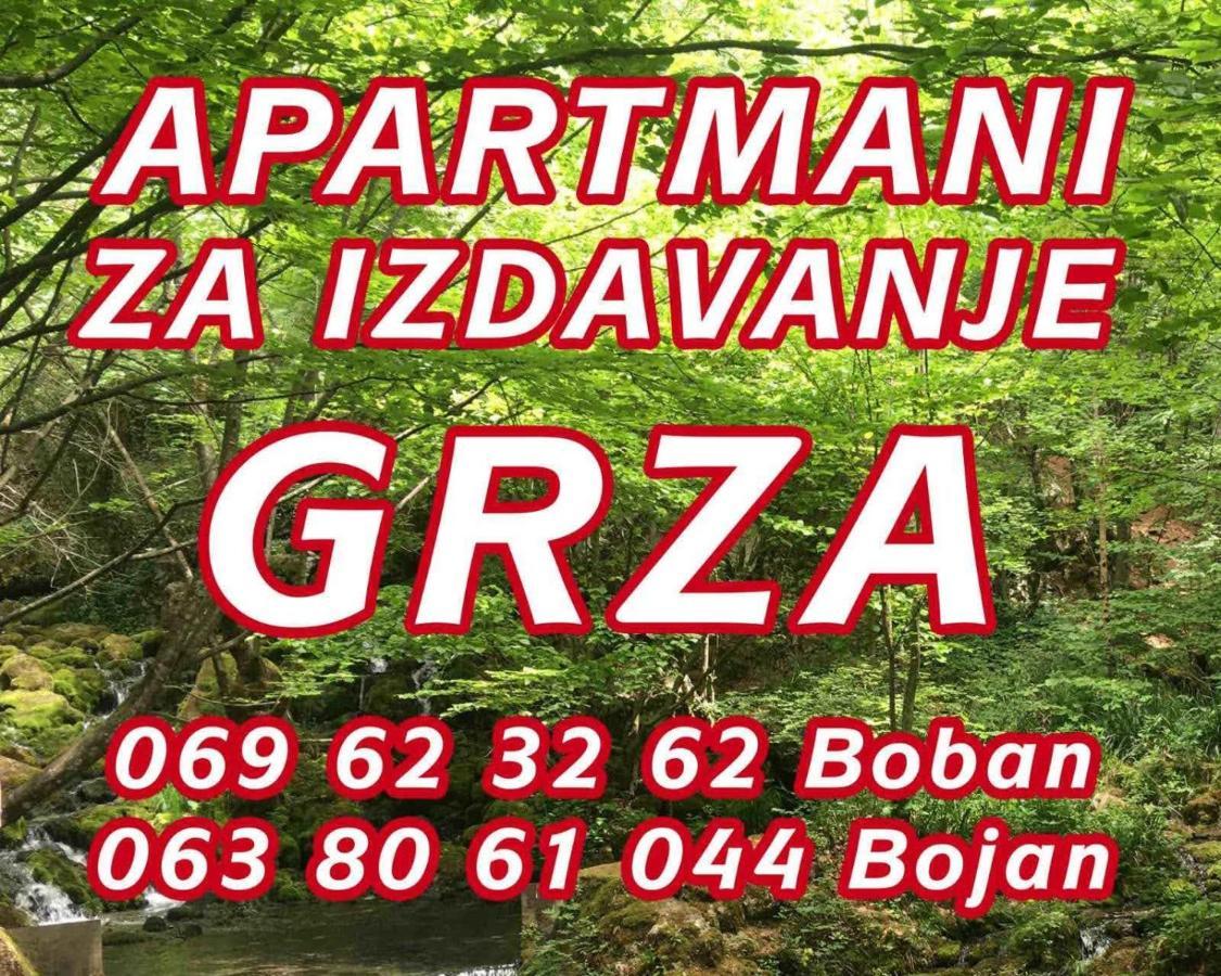 Apartmani Grza Парасин Экстерьер фото