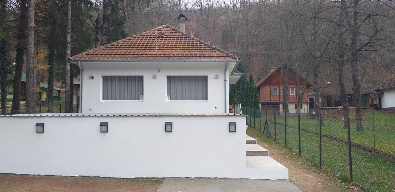 Apartmani Grza Парасин Экстерьер фото
