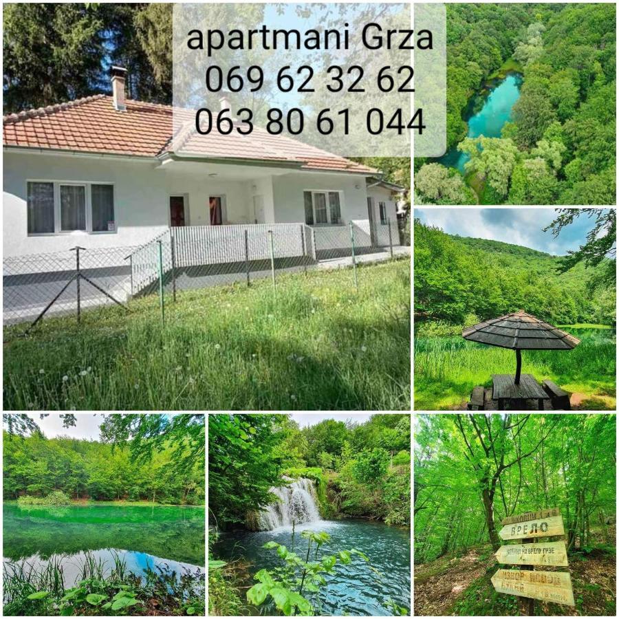 Apartmani Grza Парасин Экстерьер фото