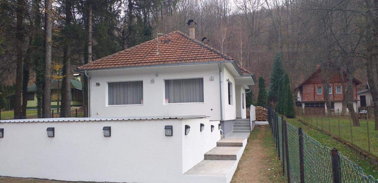 Apartmani Grza Парасин Экстерьер фото