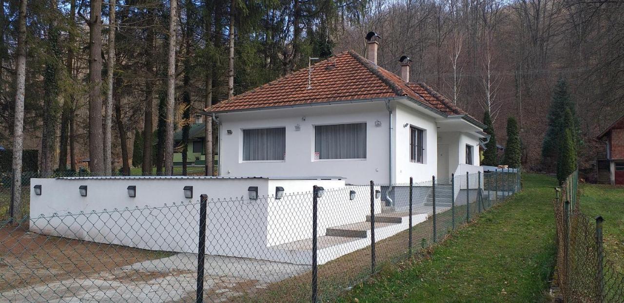 Apartmani Grza Парасин Экстерьер фото