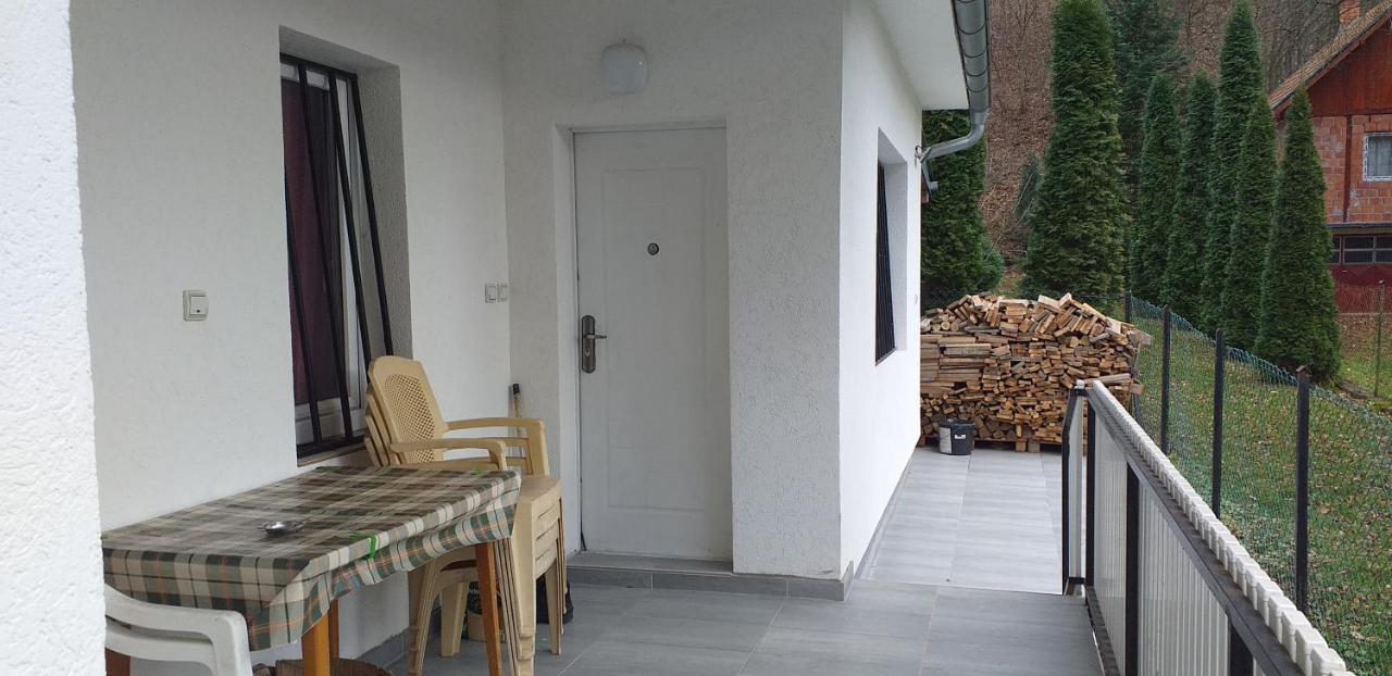 Apartmani Grza Парасин Экстерьер фото