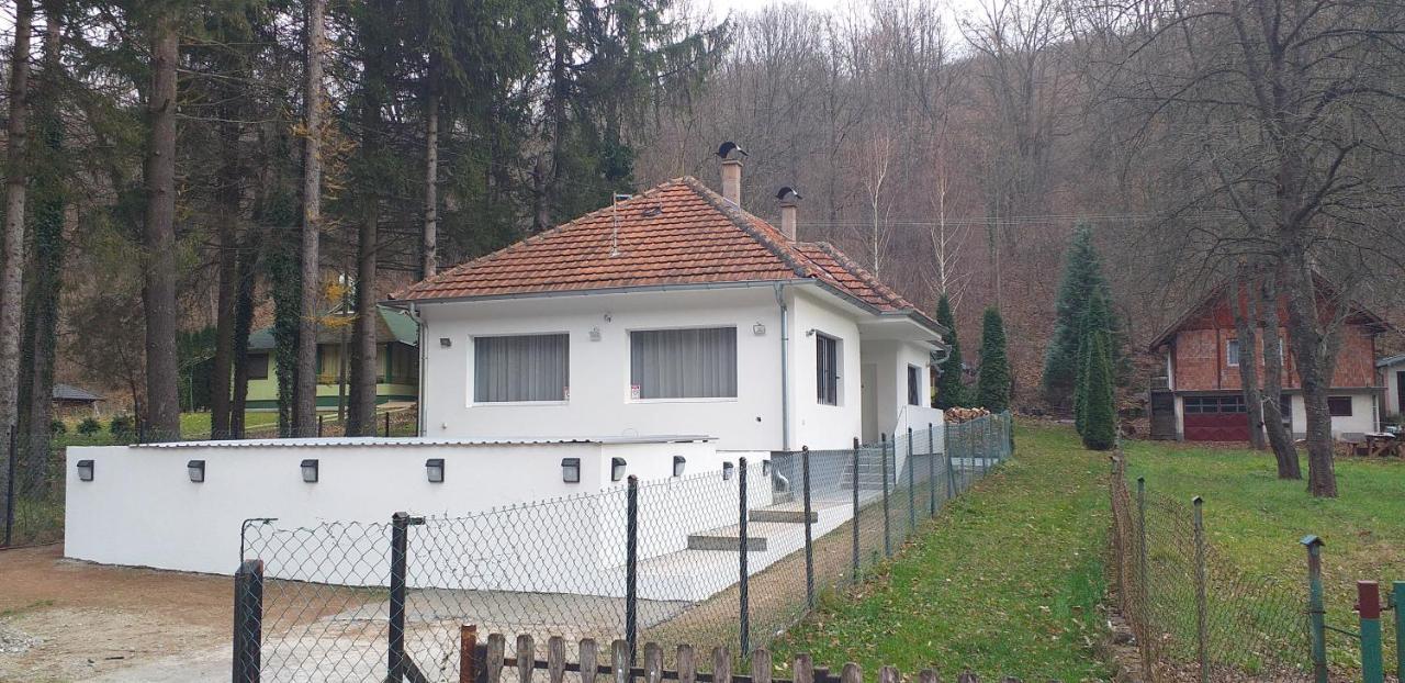 Apartmani Grza Парасин Экстерьер фото